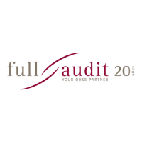 logo Full audit 20